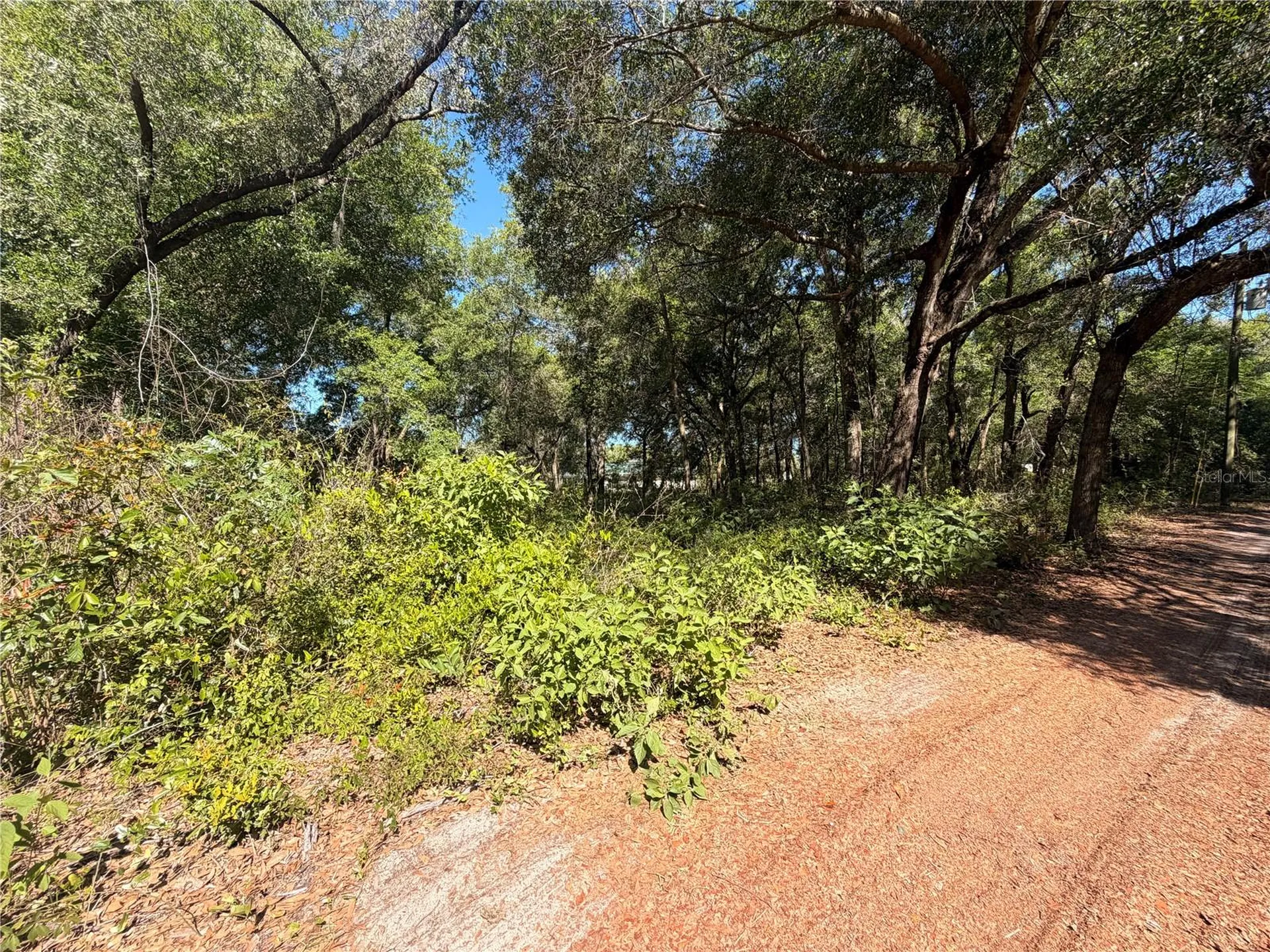 10185 Creekfield Road Brooksville FL 34613