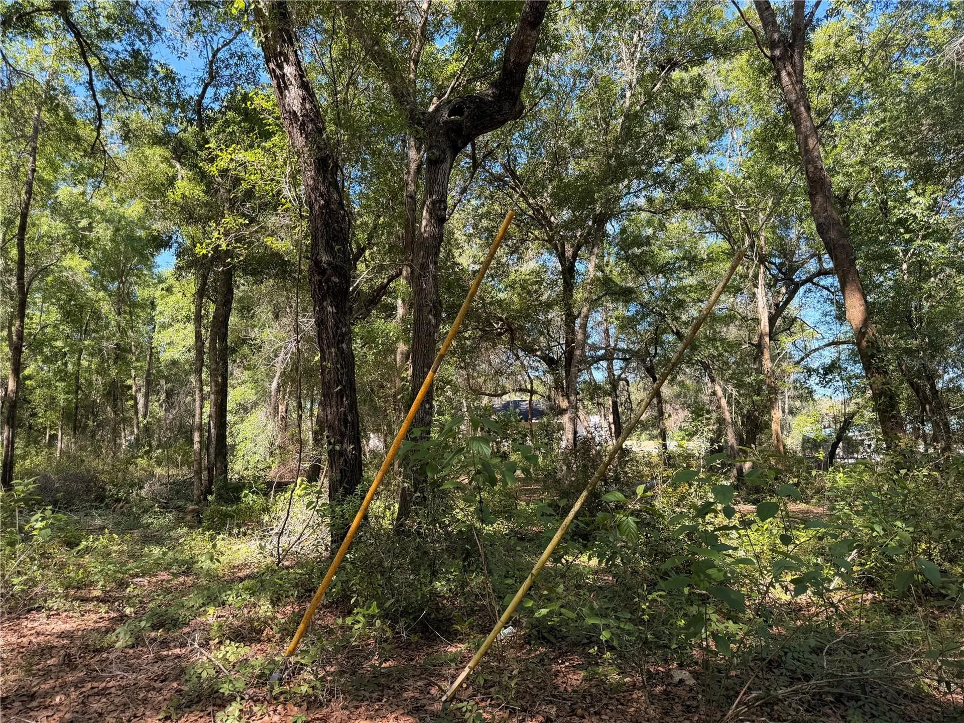 10185 Creekfield Road Brooksville FL 34613