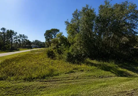 302 Bowfin Lane Kissimmee FL 34759