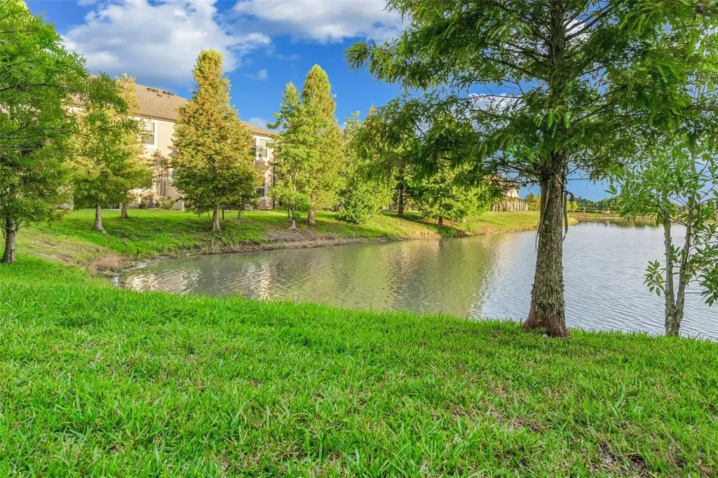 29922 Southwell Lane Wesley Chapel FL 33543