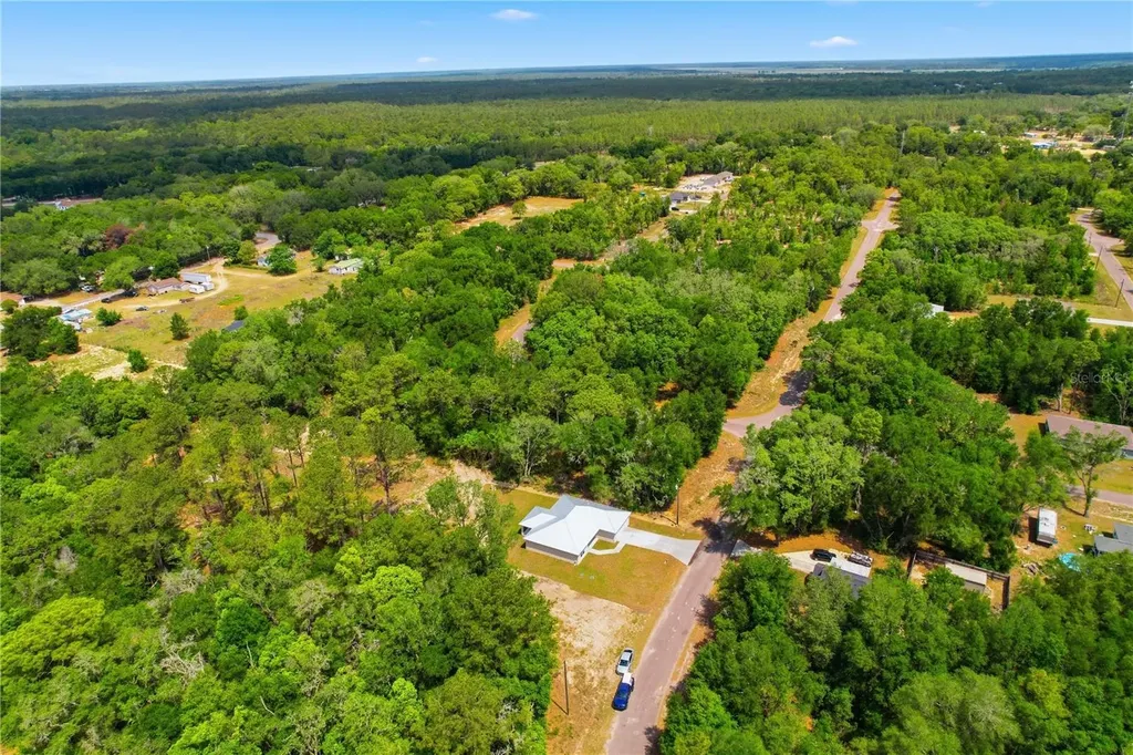 124 Guava Terrace Ocklawaha FL 32179