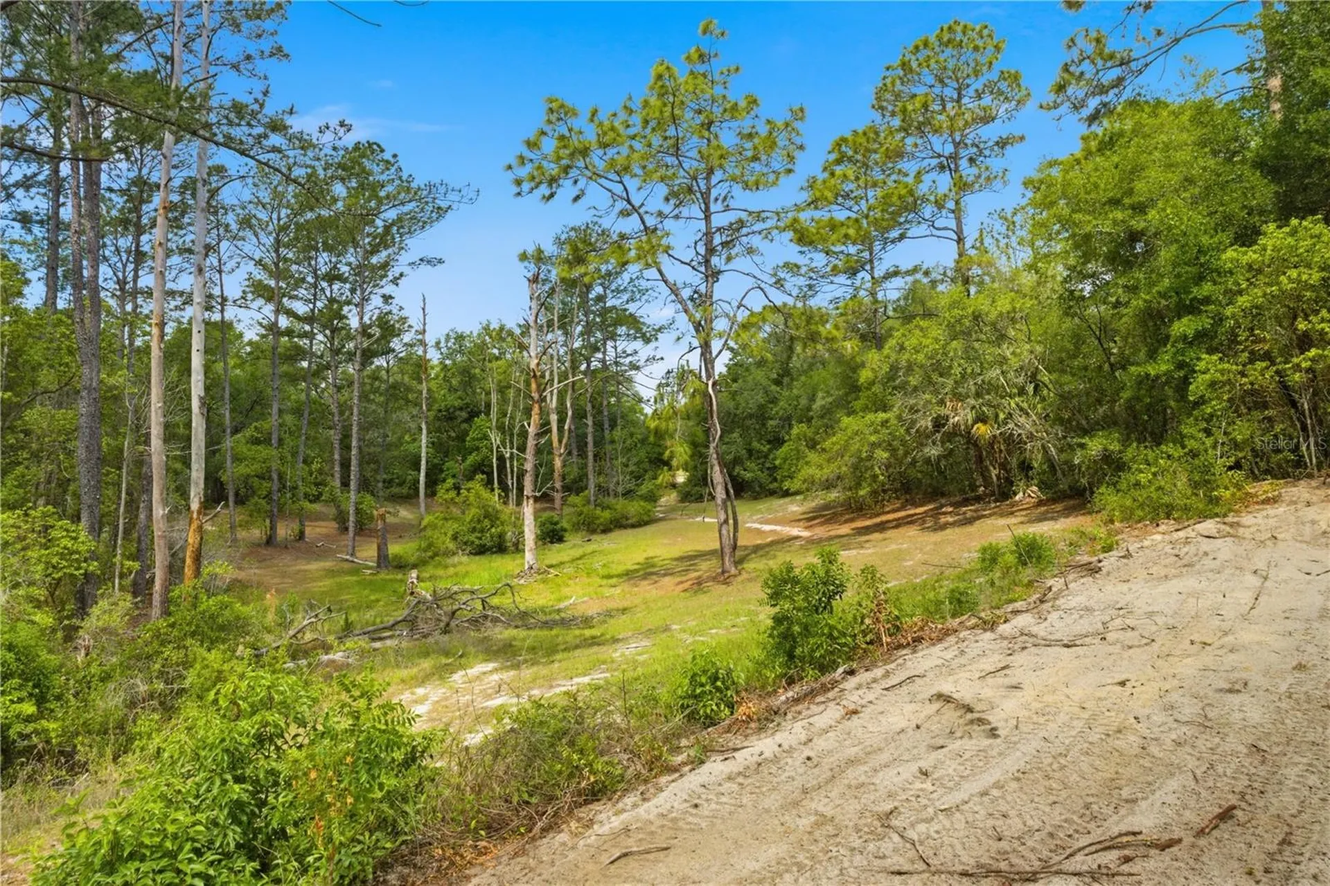 124 Guava Terrace Ocklawaha FL 32179
