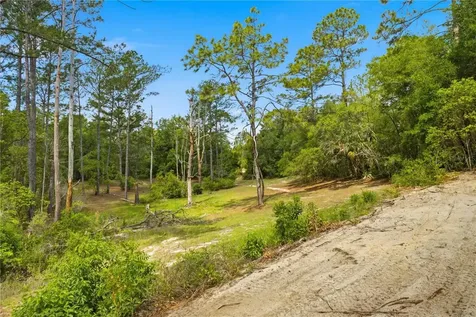 124 Guava Terrace Ocklawaha FL 32179