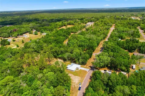 124 Guava Terrace Ocklawaha FL 32179
