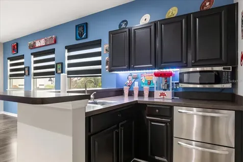 19313 Pummelo Drive Orlando FL 32827