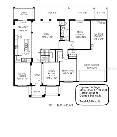 19313 Pummelo Drive Orlando FL 32827
