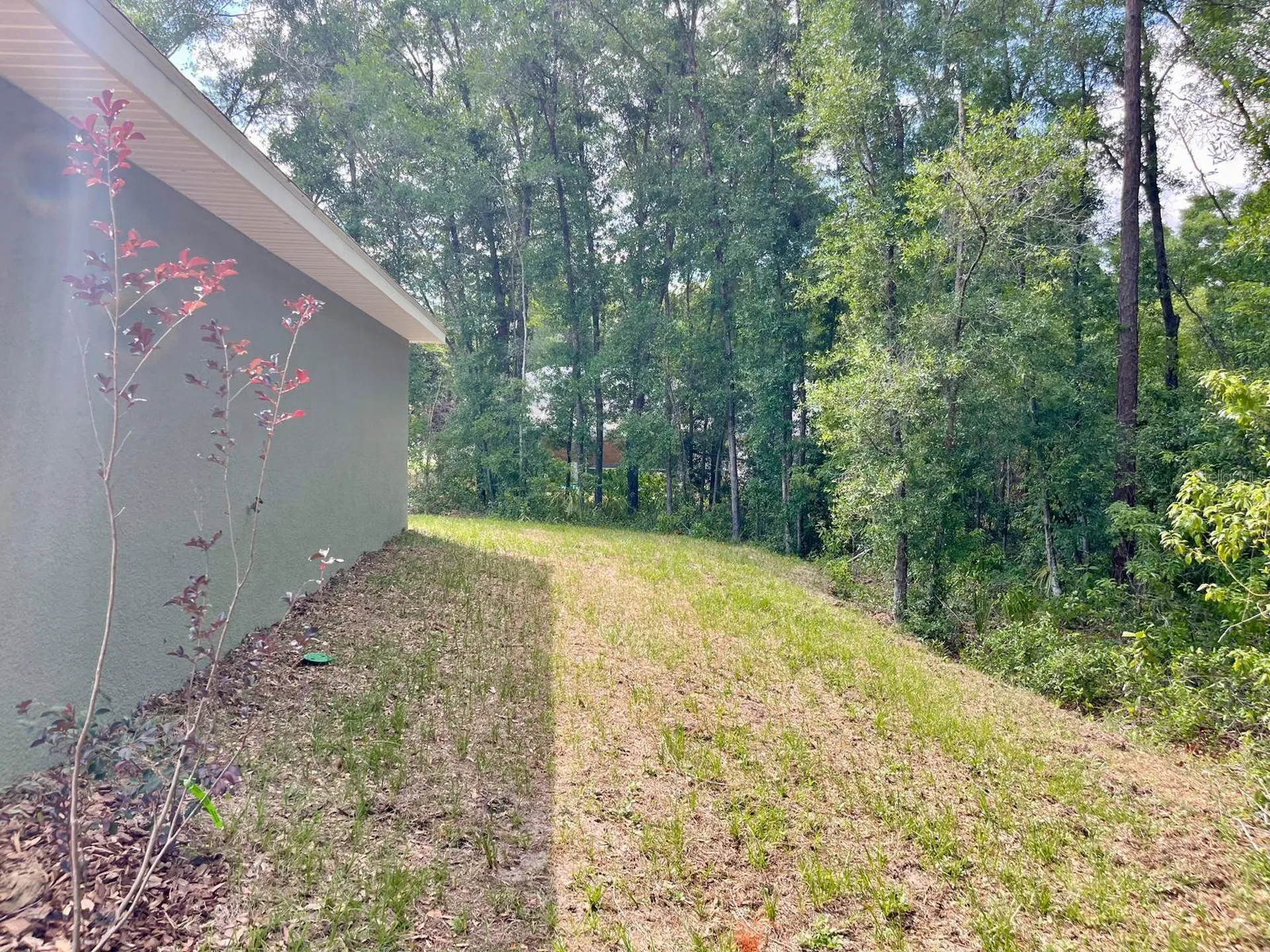 19231 SW 97th Street Dunnellon FL 34432