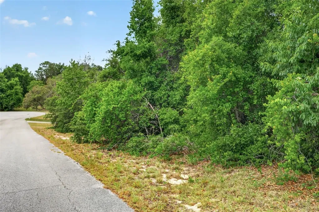 1642 S Valerie Point Inverness FL 34452