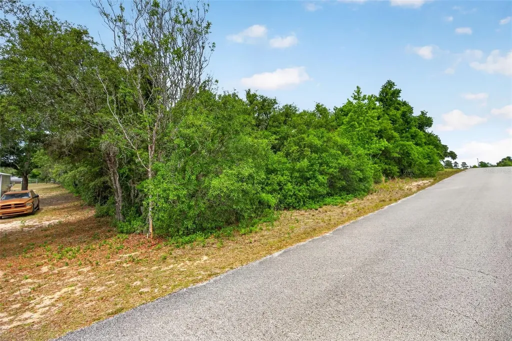 1642 S Valerie Point Inverness FL 34452