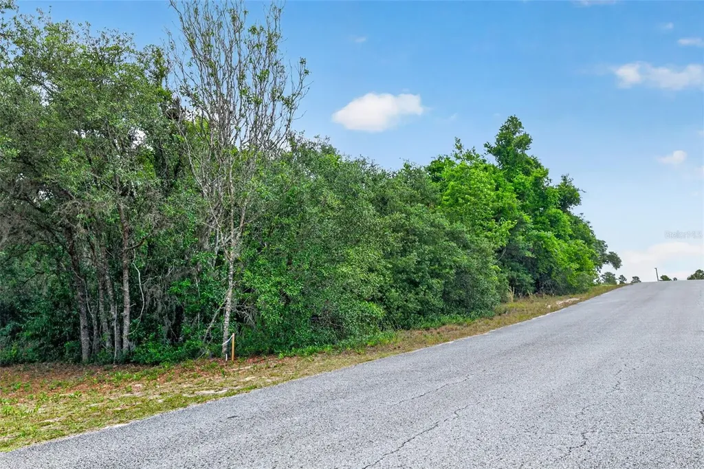 1642 S Valerie Point Inverness FL 34452