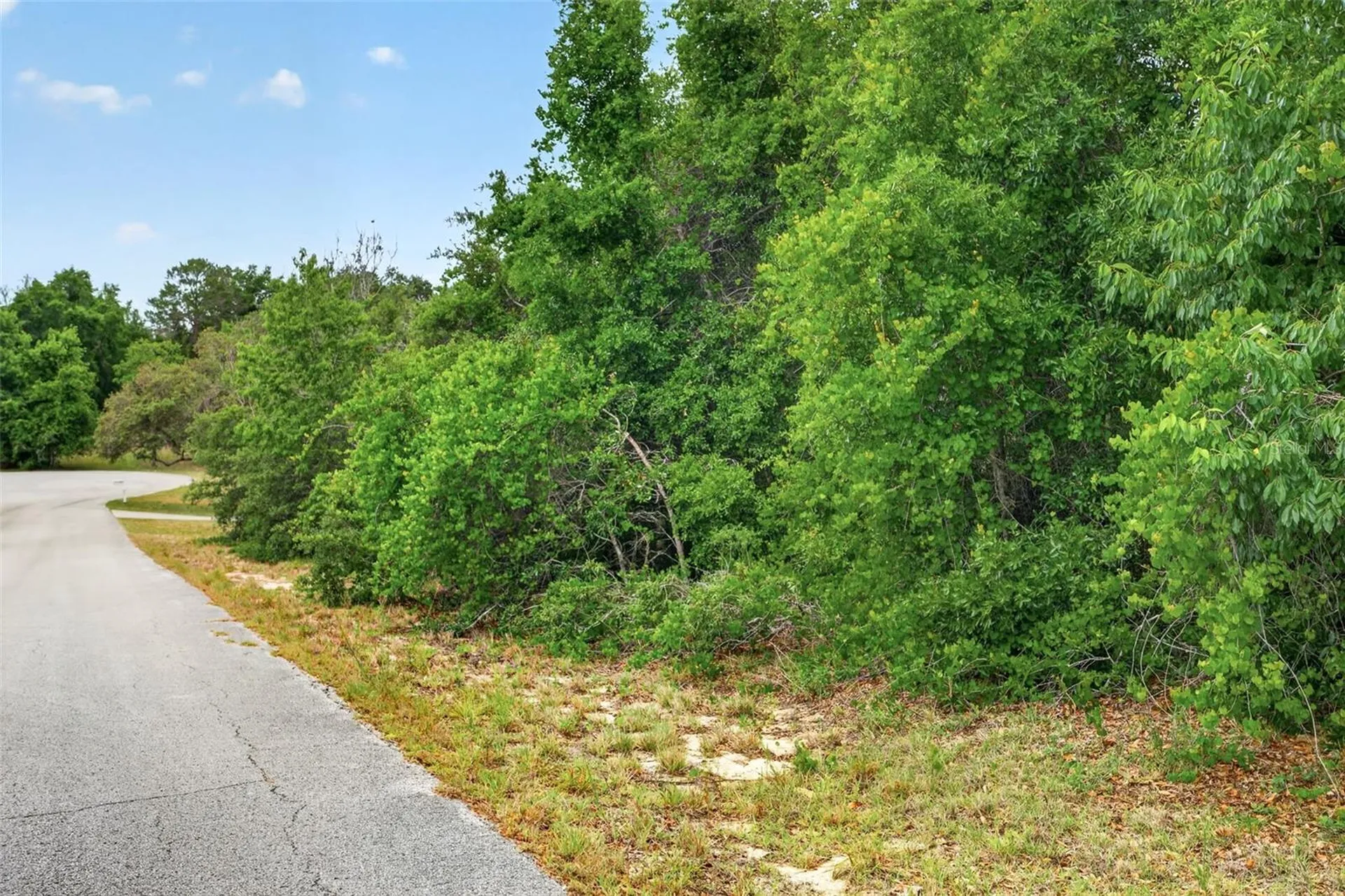 1642 S Valerie Point Inverness FL 34452