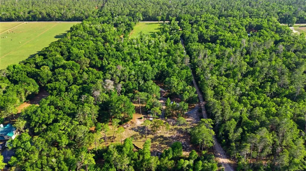 15700 Doe Trail Brooksville FL 34601