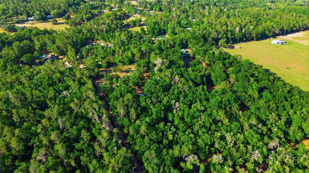 15700 Doe Trail Brooksville FL 34601