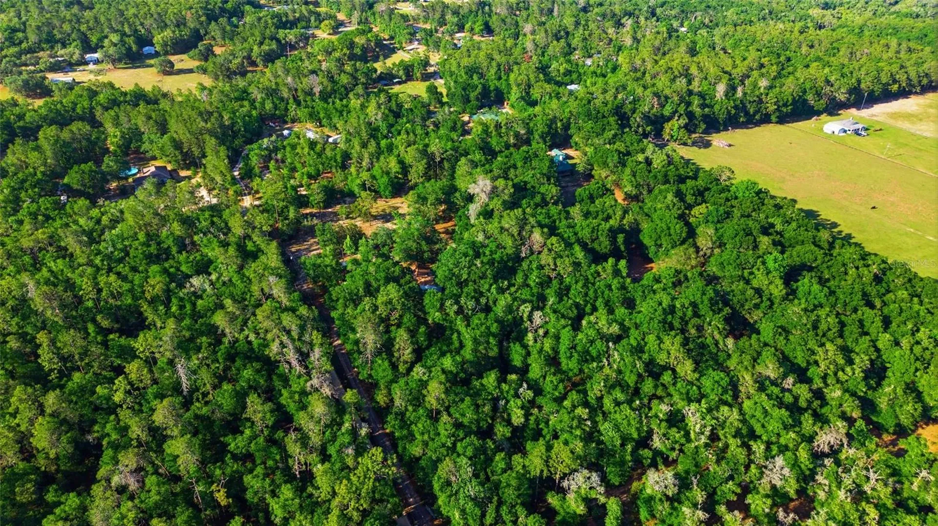 15700 Doe Trail Brooksville FL 34601