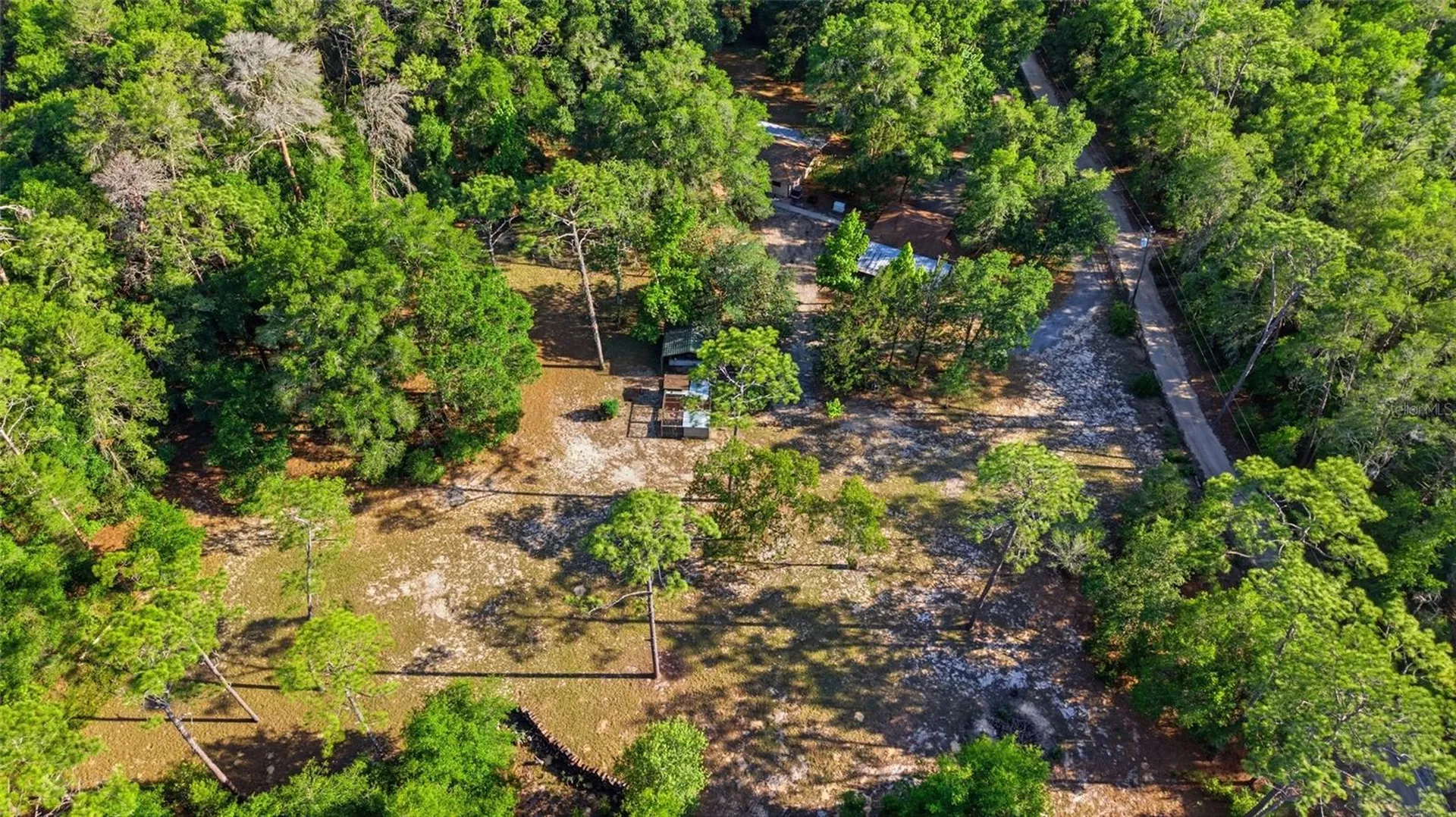 15700 Doe Trail Brooksville FL 34601