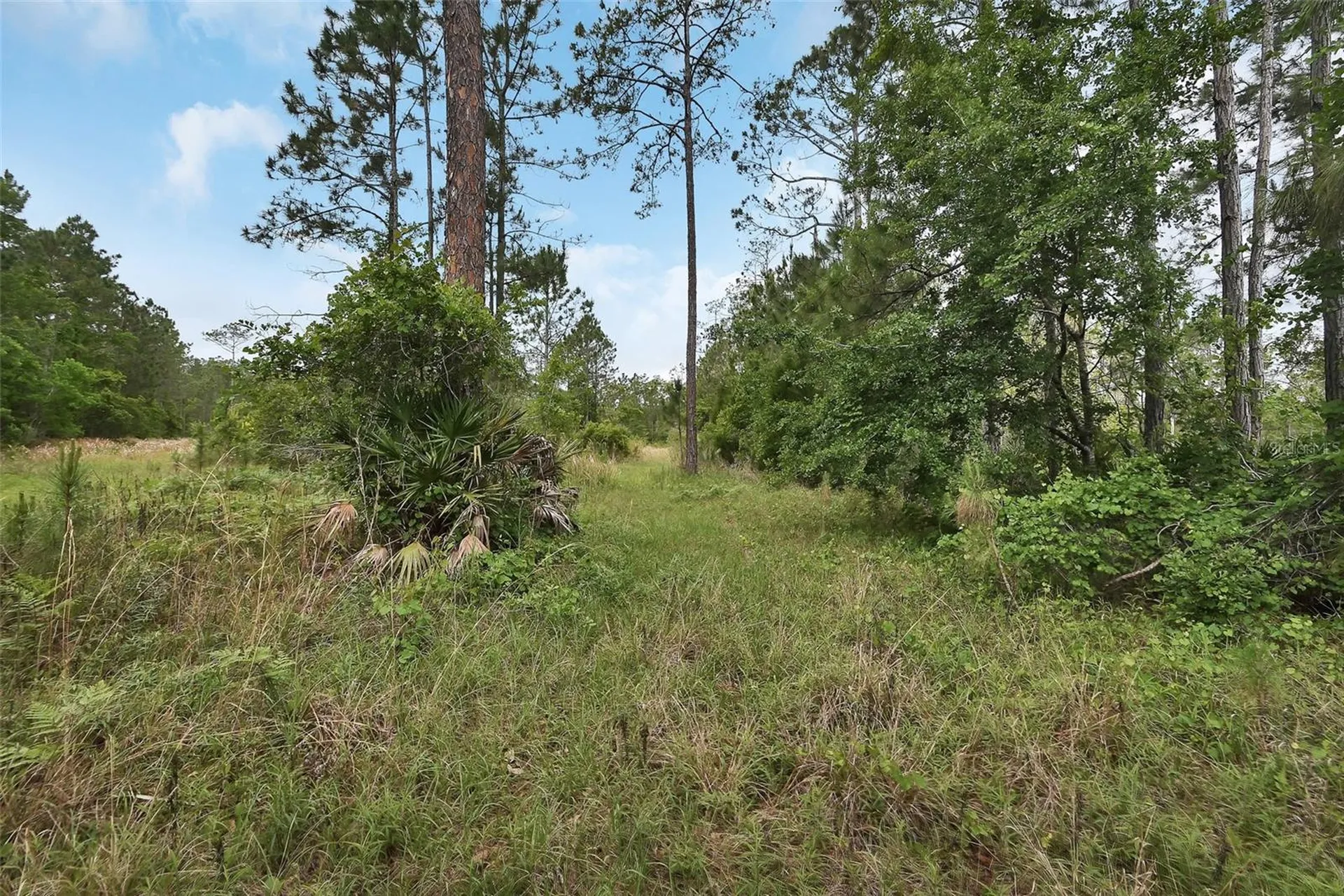 0 W Sr 40 Highway Ormond Beach FL 32174
