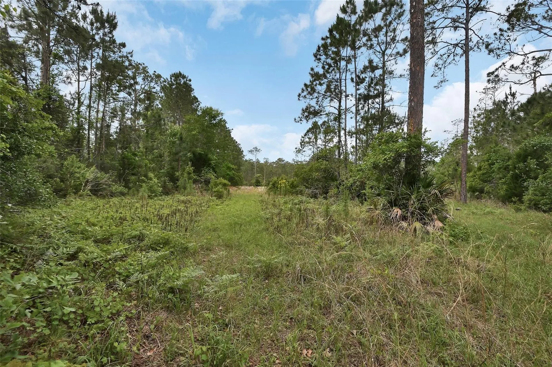 0 W Sr 40 Highway Ormond Beach FL 32174