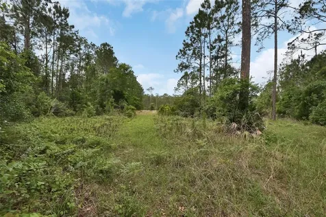 0 W Sr 40 Highway Ormond Beach FL 32174