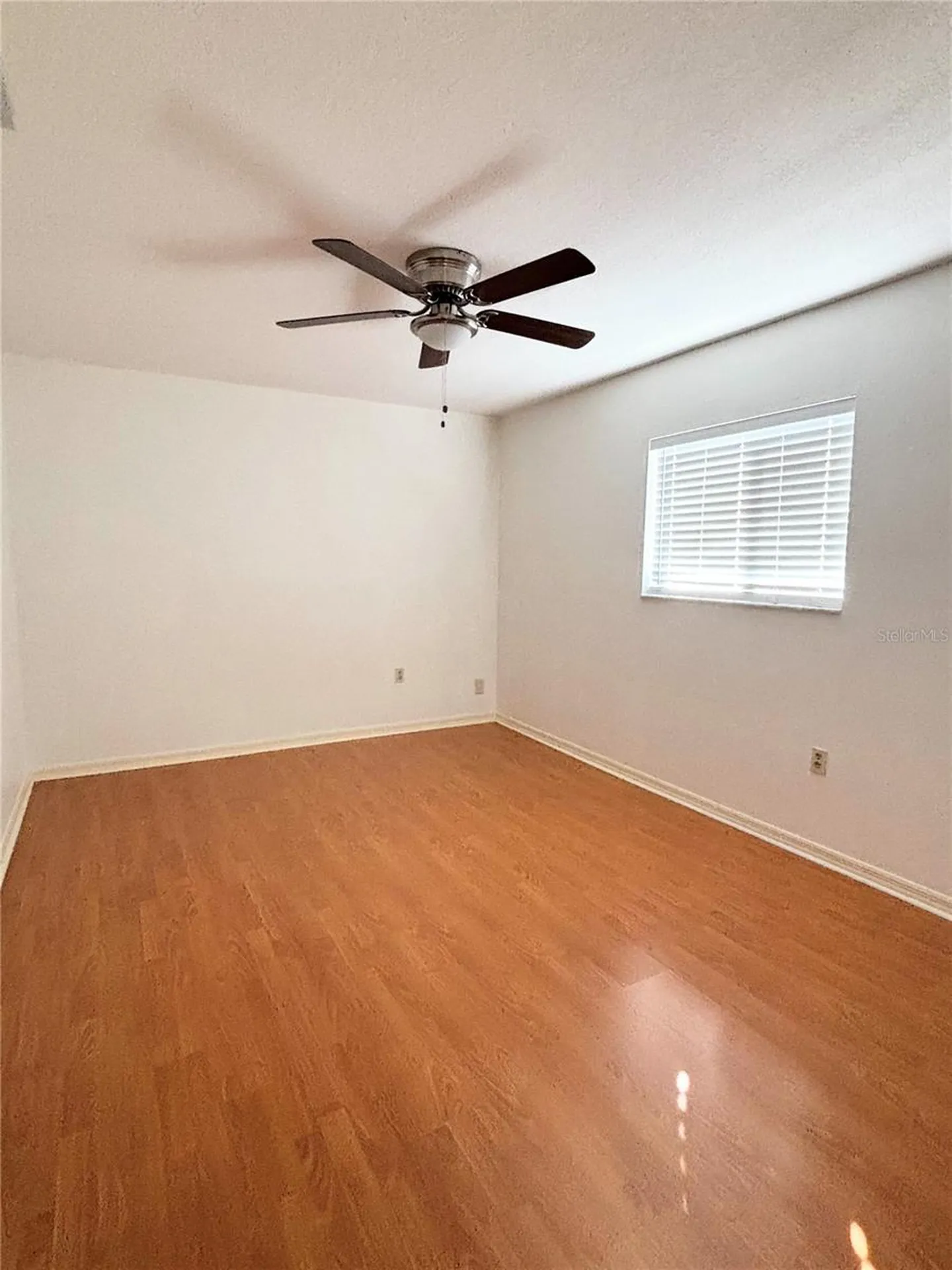1503 Overland Drive Spring Hill FL 34608