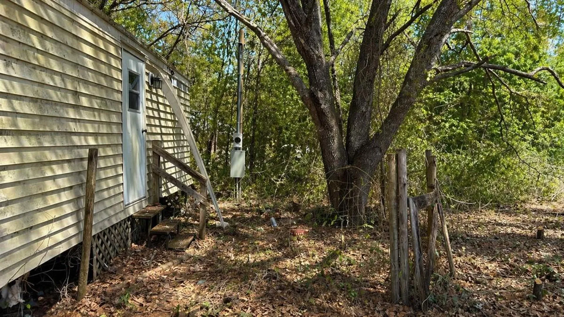 11281 NE 64th Place Williston FL 32696