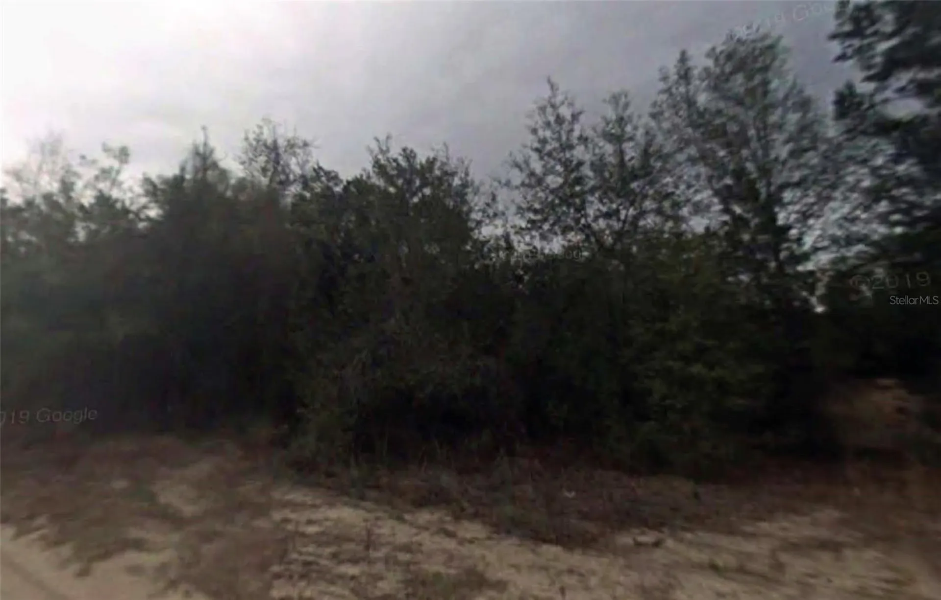 702 Longwood Avenue Inverness FL 34453