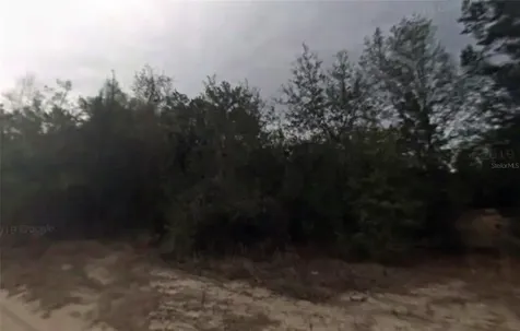 702 Longwood Avenue Inverness FL 34453