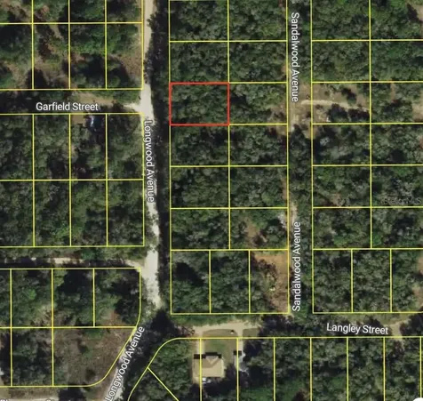 702 Longwood Avenue Inverness FL 34453