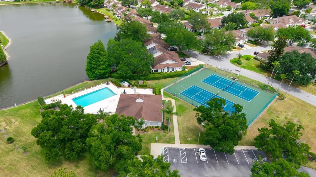21506 Gray Tern Court Lutz FL 33549