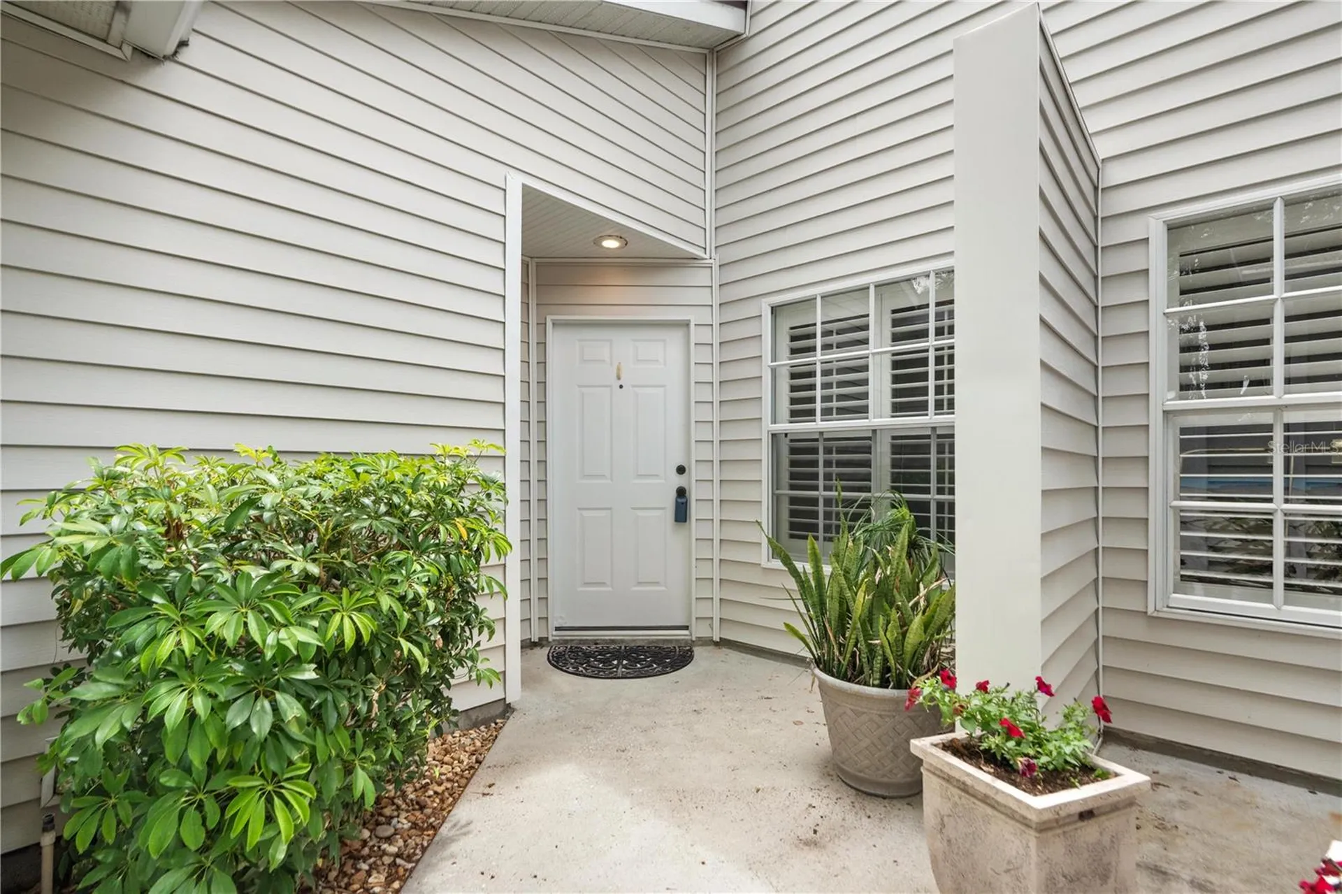 21506 Gray Tern Court Lutz FL 33549