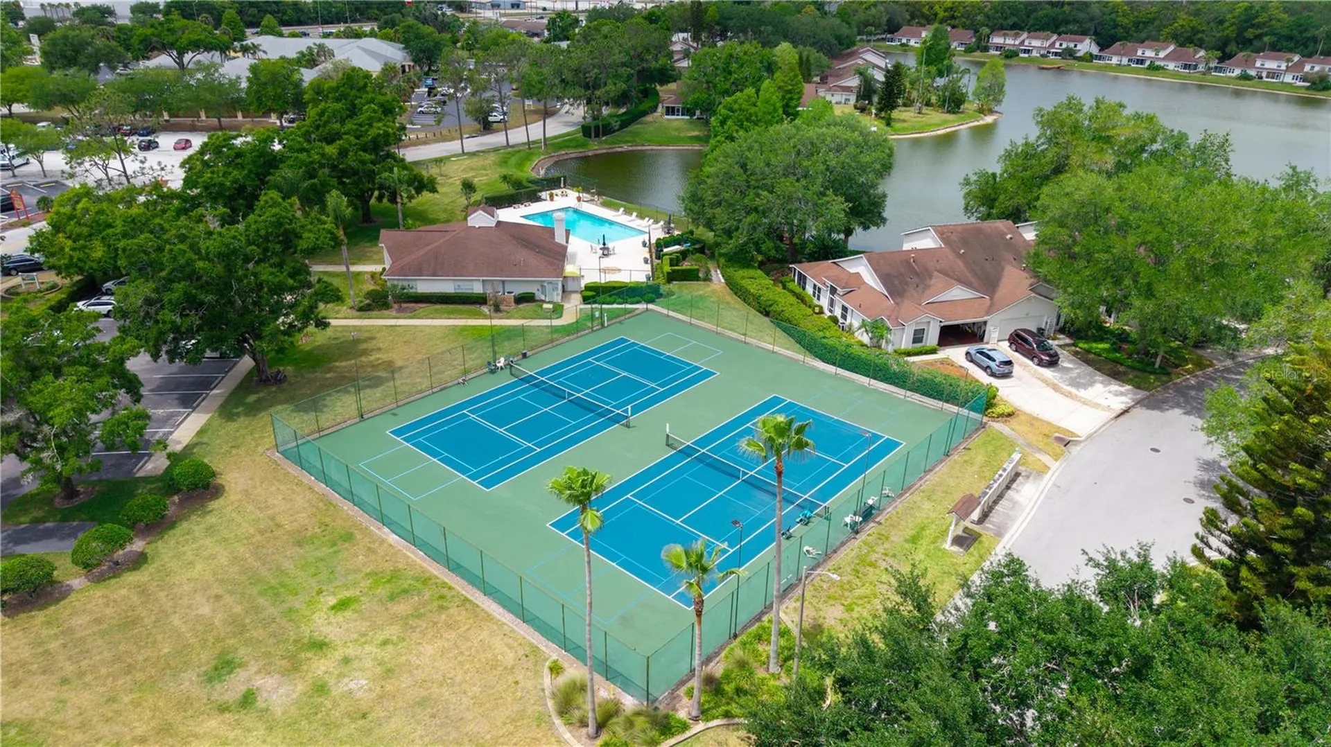 21506 Gray Tern Court Lutz FL 33549