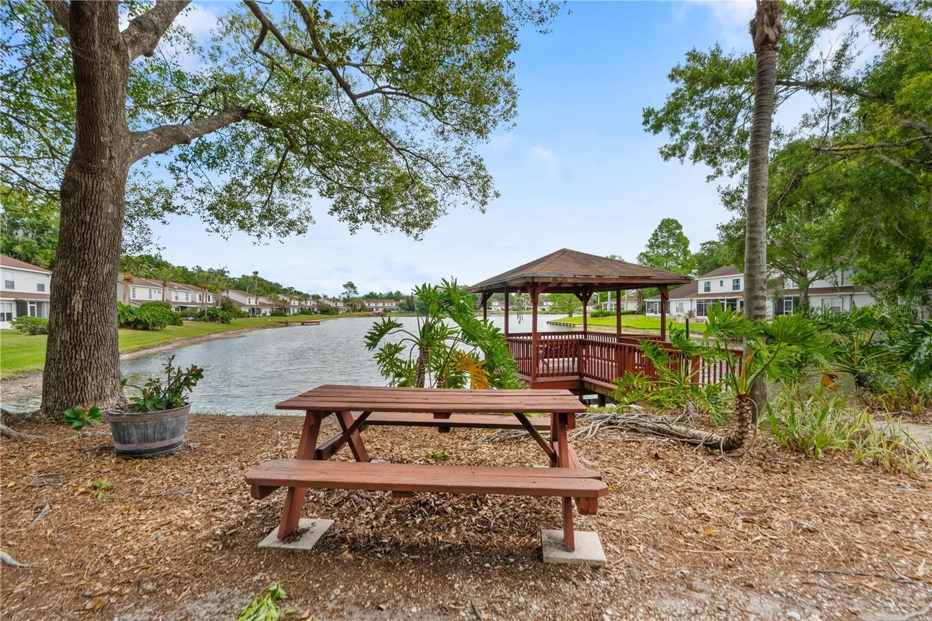 21506 Gray Tern Court Lutz FL 33549