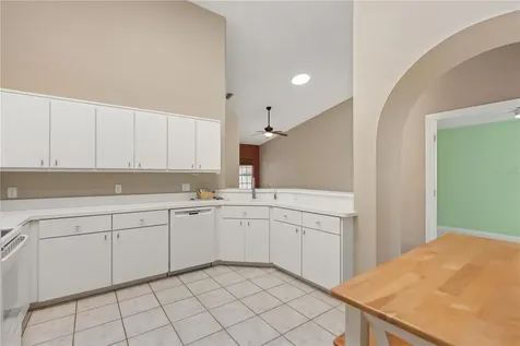 21506 Gray Tern Court Lutz FL 33549