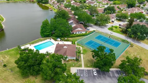 21506 Gray Tern Court Lutz FL 33549