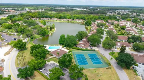 21506 Gray Tern Court Lutz FL 33549