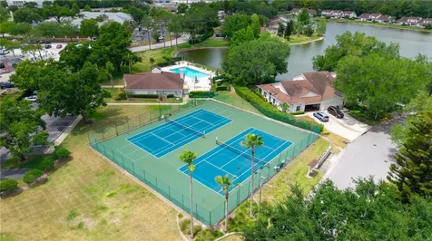 21506 Gray Tern Court Lutz FL 33549