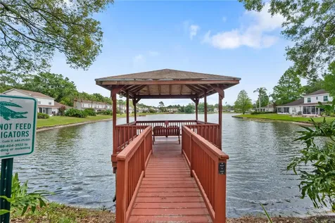 21506 Gray Tern Court Lutz FL 33549