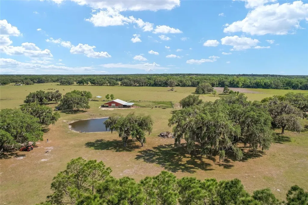 15120 SE 85th Street Ocklawaha FL 32179