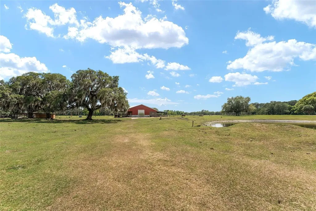 15120 SE 85th Street Ocklawaha FL 32179