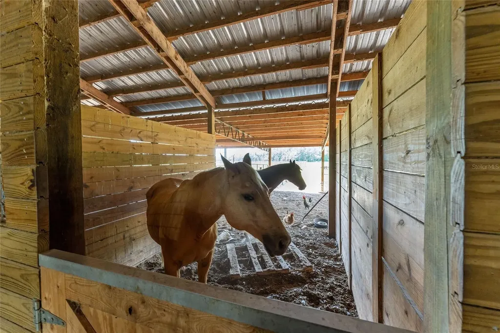 15120 SE 85th Street Ocklawaha FL 32179
