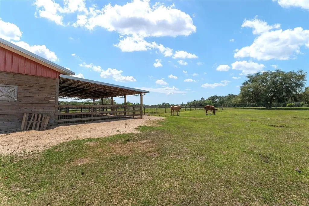 15120 SE 85th Street Ocklawaha FL 32179