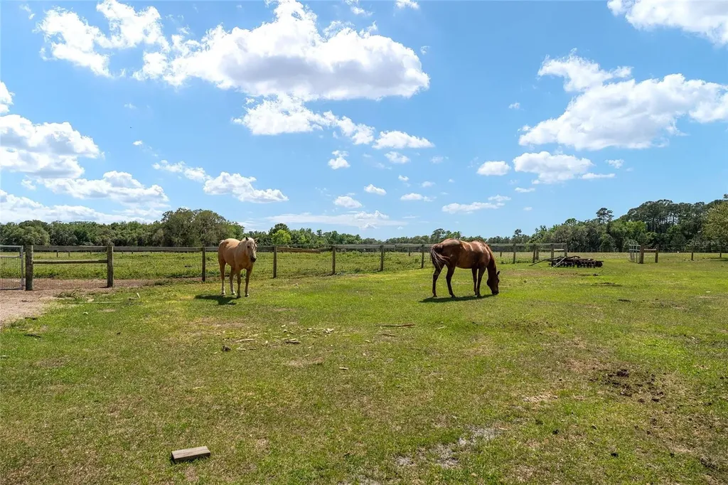 15120 SE 85th Street Ocklawaha FL 32179