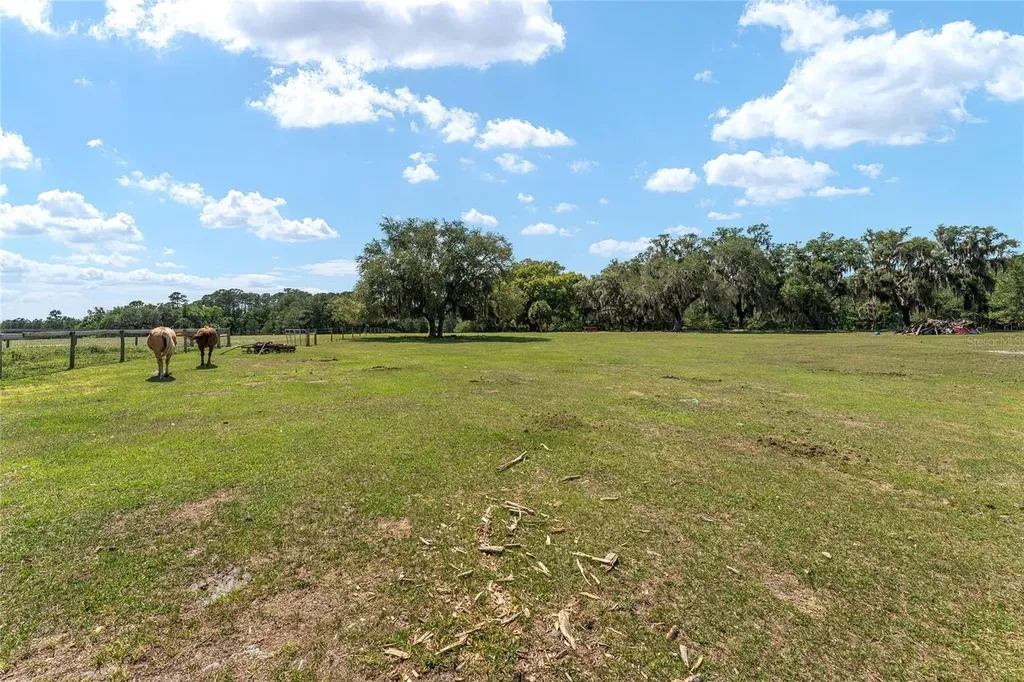 15120 SE 85th Street Ocklawaha FL 32179