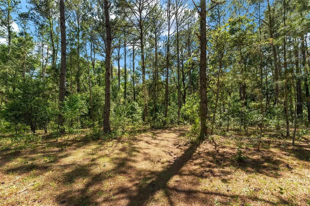 15120 SE 85th Street Ocklawaha FL 32179