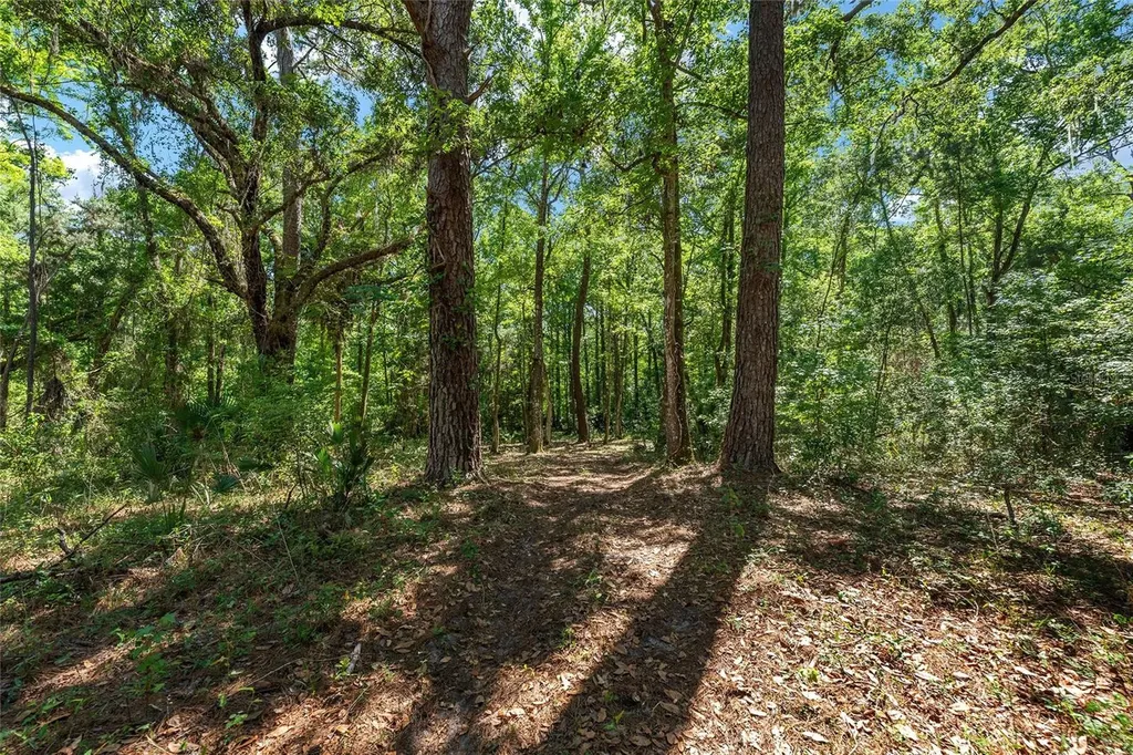 15120 SE 85th Street Ocklawaha FL 32179