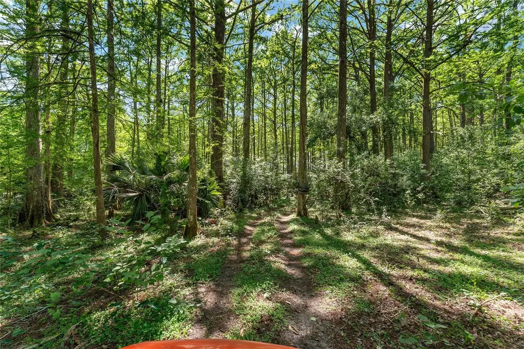 15120 SE 85th Street Ocklawaha FL 32179