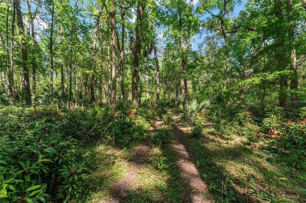 15120 SE 85th Street Ocklawaha FL 32179