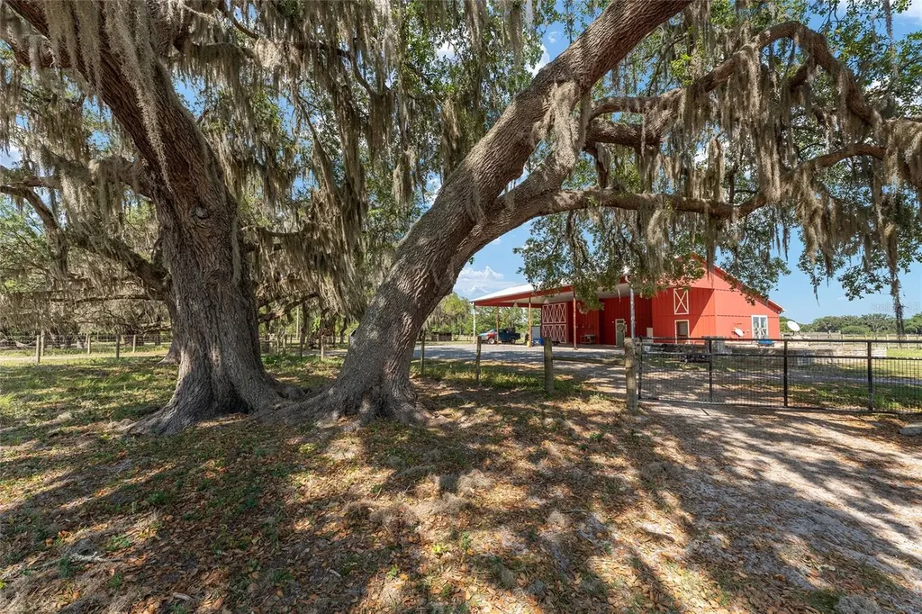 15120 SE 85th Street Ocklawaha FL 32179