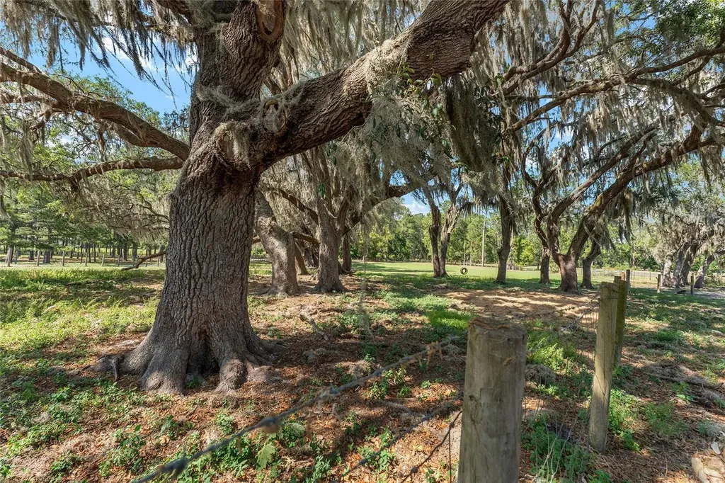 15120 SE 85th Street Ocklawaha FL 32179