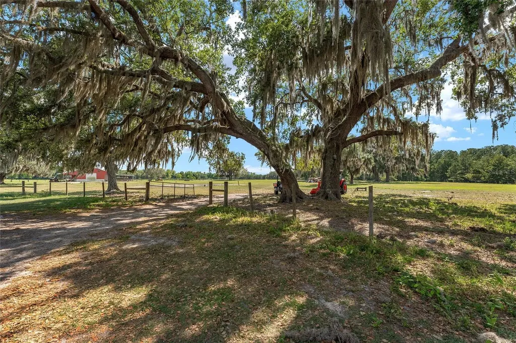 15120 SE 85th Street Ocklawaha FL 32179