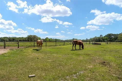 15120 SE 85th Street Ocklawaha FL 32179